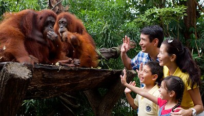 Зоопарк Планета обезьян: уникальное место для всей семьи