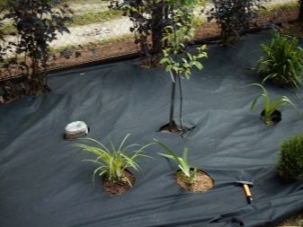 Применение геотекстиля на садовом участке