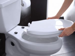 Сколько стоит качественное сиденье для унитаза: 5 критериев подбора