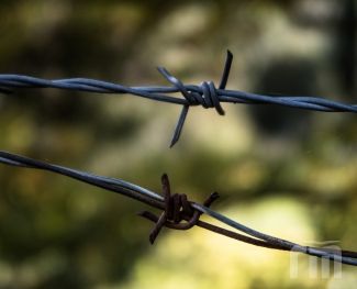 Что представляет собой колючая проволока?