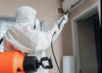 Professional Approach for Cockroach Extermination in Apartments