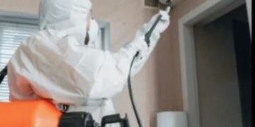 Professional Approach for Cockroach Extermination in Apartments