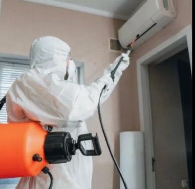 Professional Approach for Cockroach Extermination in Apartments