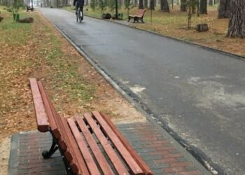 Парковые скамейки: разнообразие стилей и материалов для комфорта в городских зонах отдыха