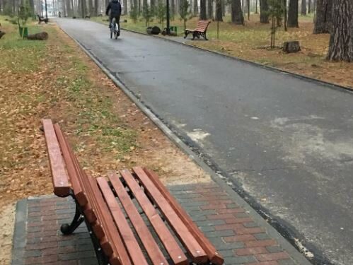 Парковые скамейки: разнообразие стилей и материалов для комфорта в городских зонах отдыха