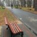 Парковые скамейки: разнообразие стилей и материалов для комфорта в городских зонах отдыха