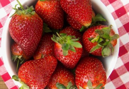 Польза клубники для организма: витамины, минералы и антиоксиданты