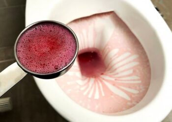 Домашнее чистящее средство для унитаза своими руками