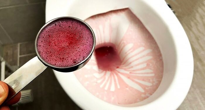 Домашнее чистящее средство для унитаза своими руками