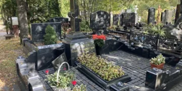 Какие цветы можно посадить на могиле?