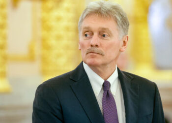 Песков прокомментировал строительство дороги через Лосиный остров