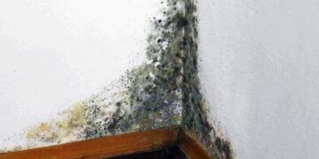 Средство от чёрной плесени, дает 100% результат даже на обоях. Личный опыт